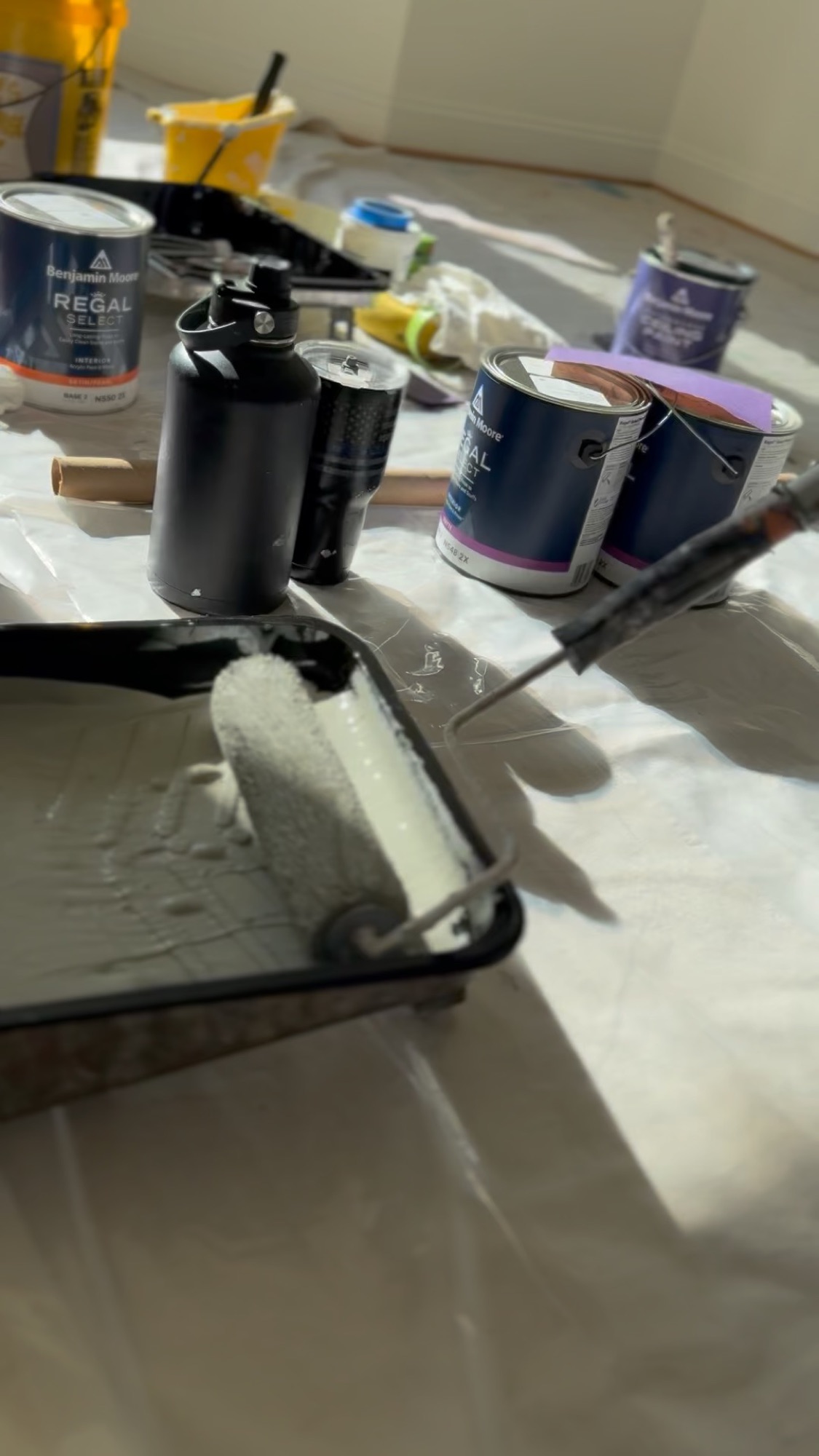 Tools and materials laid out